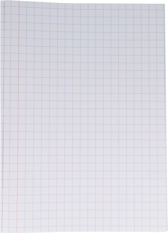 Een vel papier met blauwe ruitjes en een rode lijn aan de zijkant.