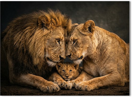Modern Schilderij Woonkamer - Poster op canvas Kunstwerk - 100 x 75 cm - Leeuwen Familie No1 - PosterGuru