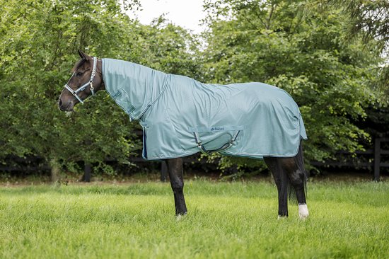 Bucas blauwe vliegendeken met blauw biesje, gedragen door een paard in een groene weide.