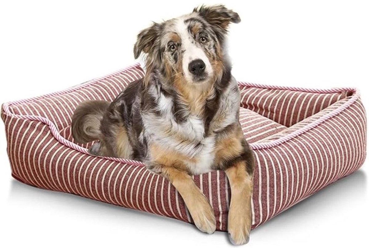 Famanu – Huisdierenbed voor Kleine Honden – Wasmachinebestendig Ligbed met Afneembare Hoes en Antislip Onderzijde