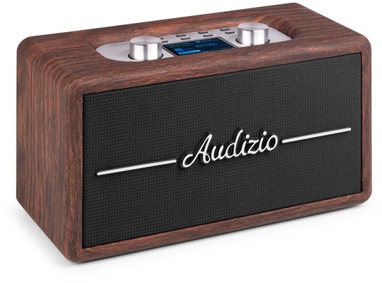 Audizio Tune60 Retro Bluetooth Speaker 40W Draadloos Houtlook Tweeweg Luidsprekers FM/DAB+ Radio