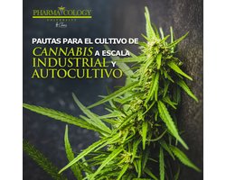 Pautas para el cultivo de cannabis a escala industrial y autocultivo
