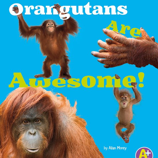 Orangutans Are Awesome! - cover