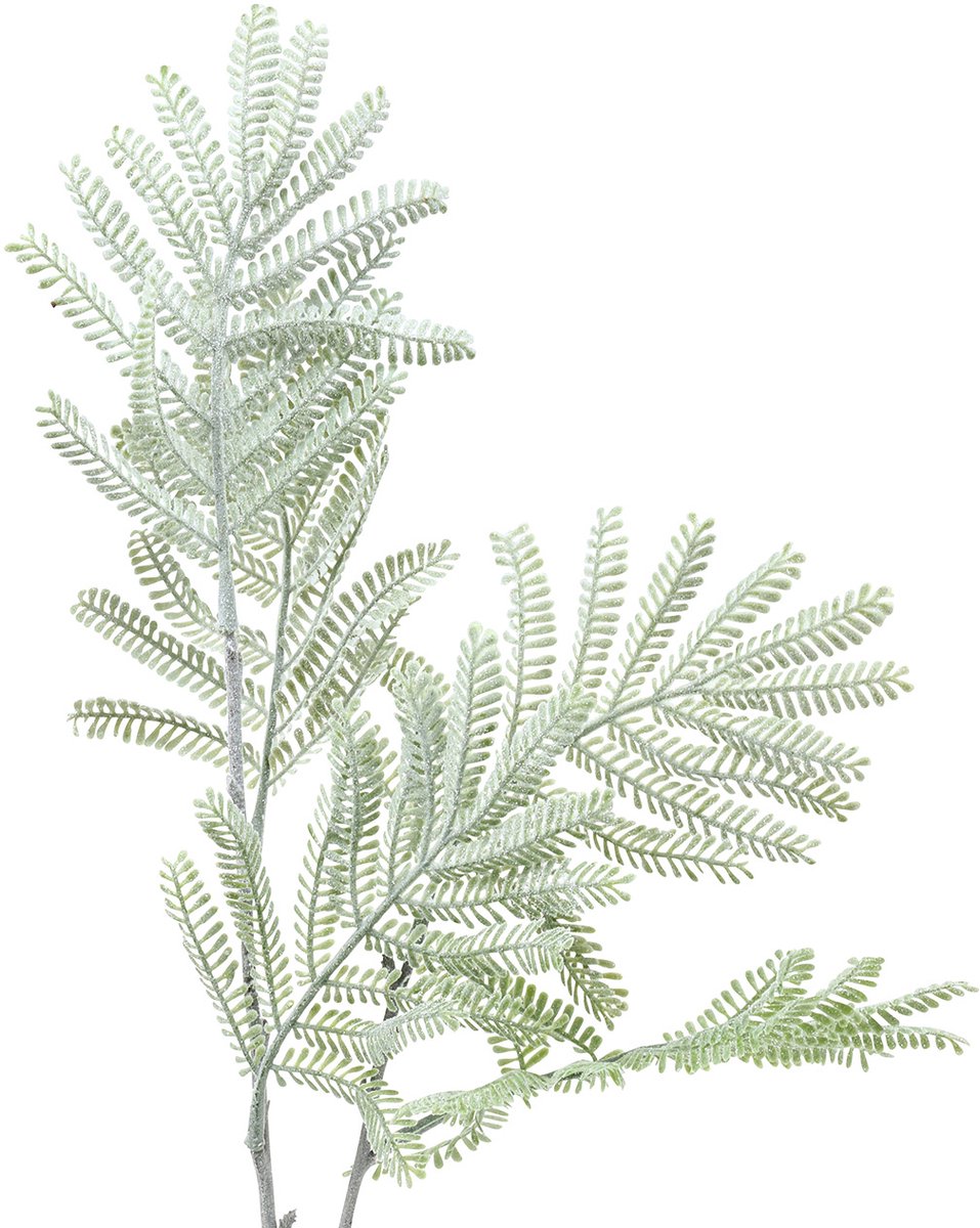 Viana Siertak mimosa groen frost effect 63cm groente