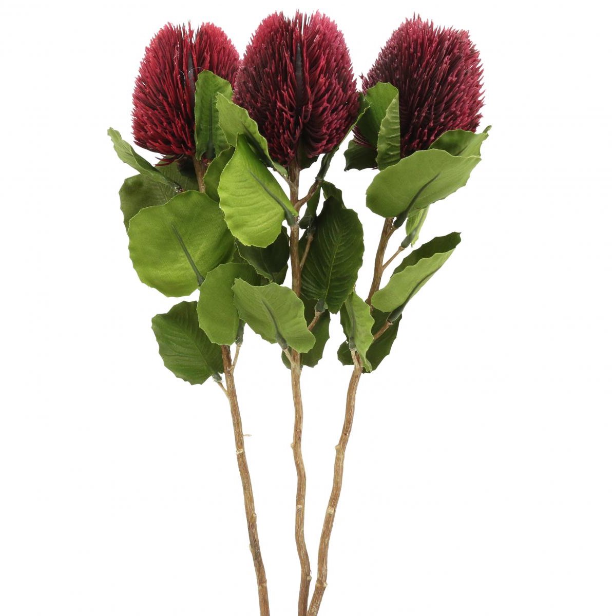 Viana Kunstbloemen, Banksia, Proteaceae wijnrood L58cm H6cm 3st
