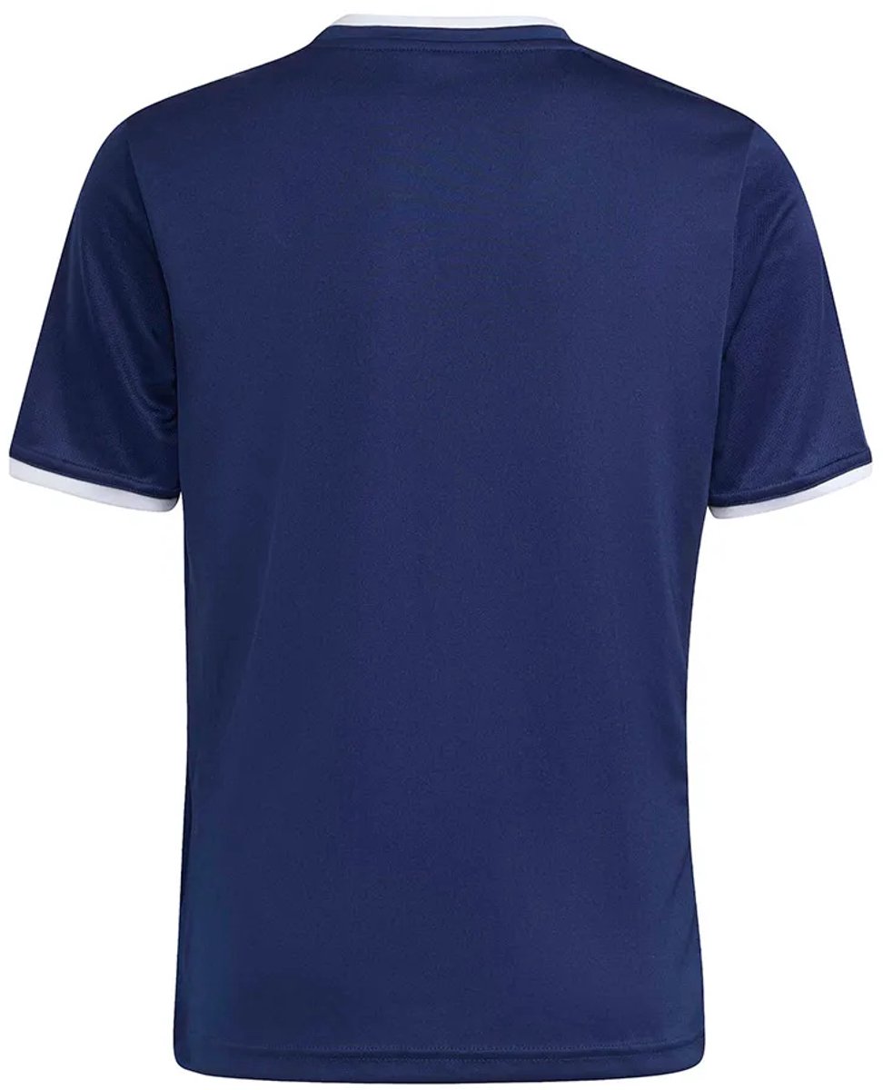 972x1200.jpg Adidas Entrada 26 T-shirt Met Korte Mouwen Blauw 5-6 Years Jongens,Meisjes - Afbeelding 1