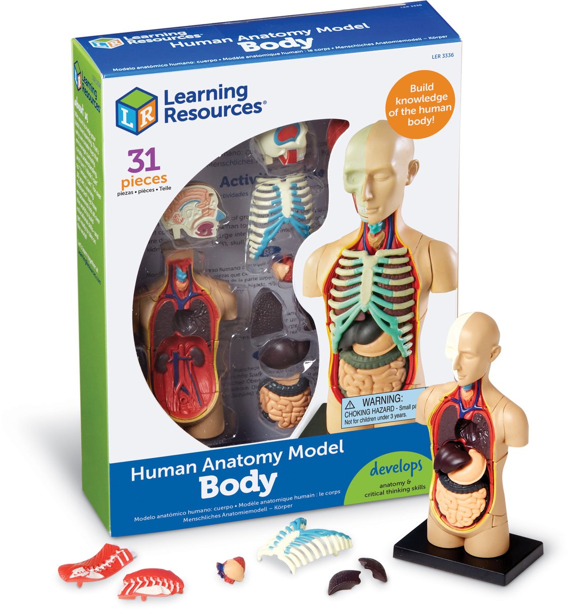 Learning Resources Anatomy Model - Human Body - 3+