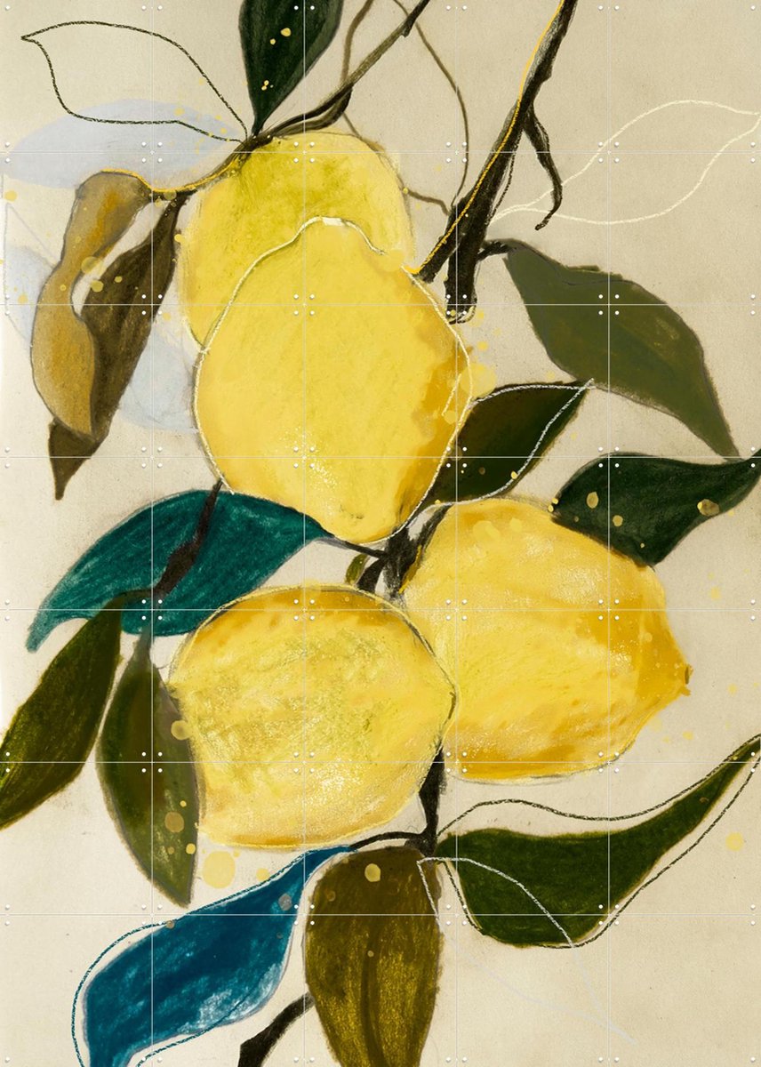 IXXI Lemon Study 1, Leigh Viner - 100 x 140 cm - Gratis ophangtool - Grote wanddecoratie en posters - Abstract, Kleurrijk, Eten & Drinken, Botanisch