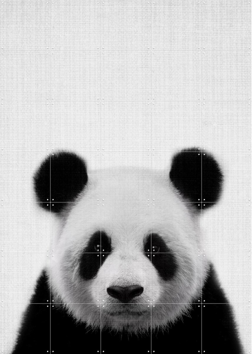 IXXI Print 61 Panda, Lila + Lola - 100 x 140 cm - Gratis ophangtool - Grote wanddecoratie en posters - Minimalisme, Fotografie, Babykamer, Woonkamer