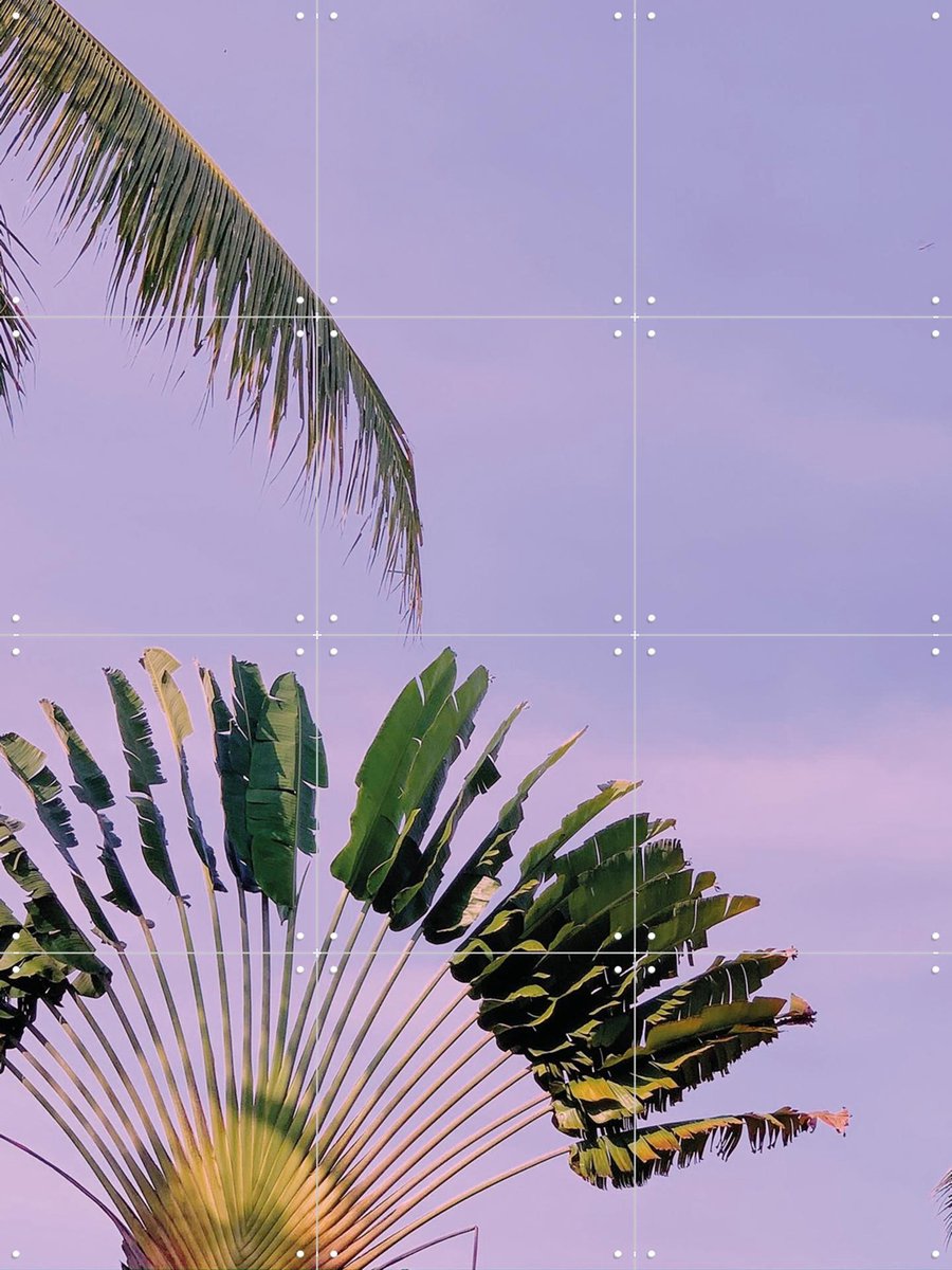 IXXI Tropical Sunset, We Like Bali - 60 x 80 cm - Gratis ophangtool - Grote wanddecoratie en posters - Fotografie, Naturalisme, Kleurrijk, Slaapkamer