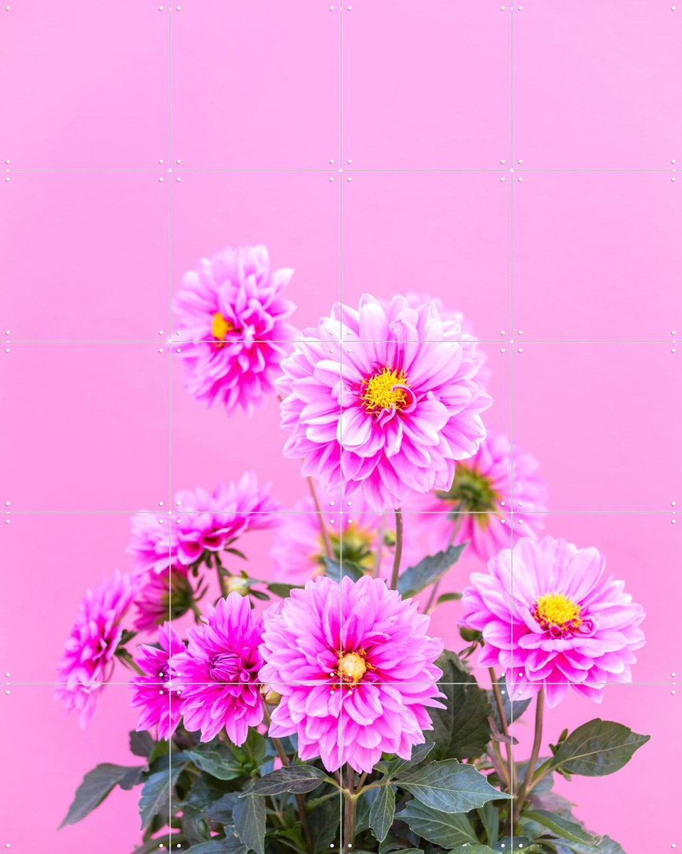 IXXI Flowers in Pink, Pati Photography - 80 x 100 cm - Gratis ophangtool - Grote wanddecoratie en posters - Fotografie, Kleurrijk, Slaapkamer