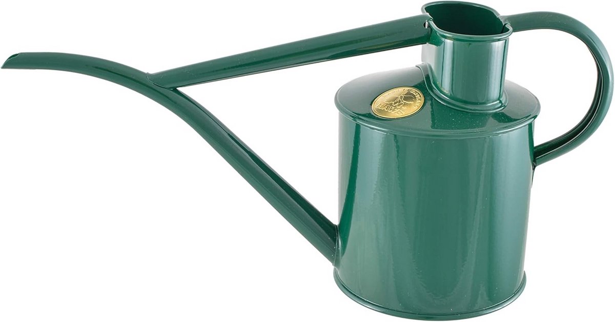 Metalen gieter voor binnenplanten met fijne tuit