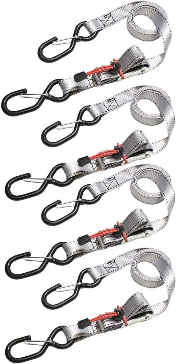 Spanbanden Set van 4 met Haken en Gesp, 1,80 m x 25 mm