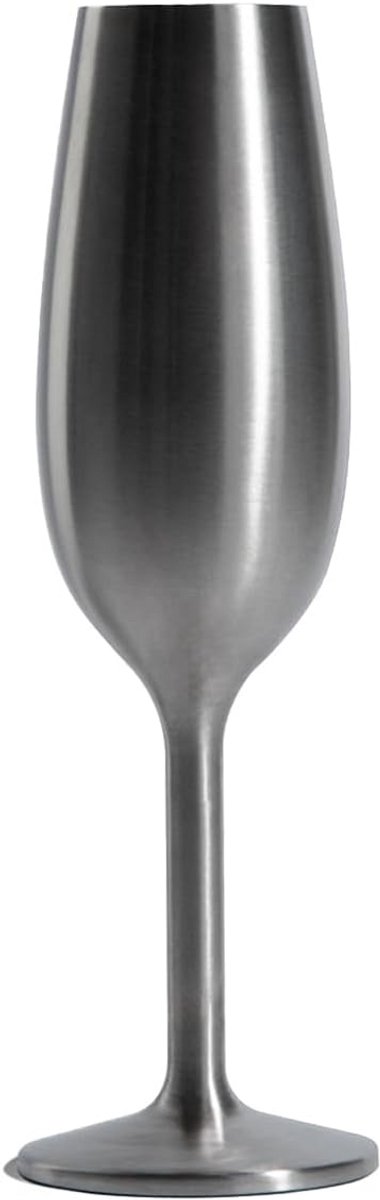 Vacuüm Geïsoleerde RVS Champagnefluiten Set van 6 - Onbreekbaar & Blijft Koud