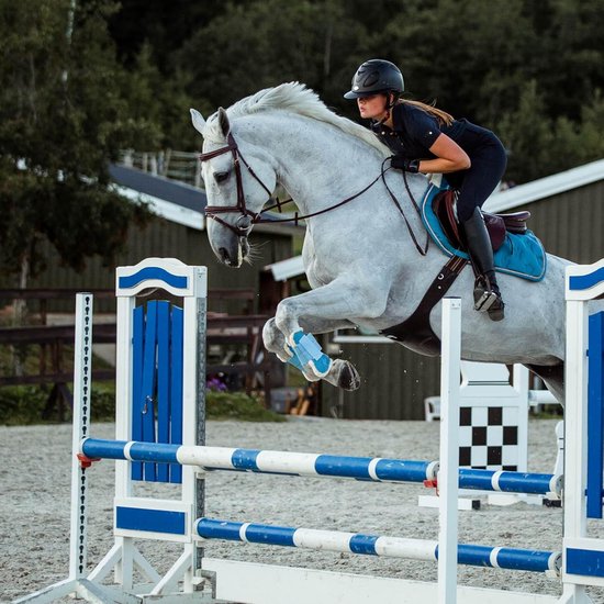 Hoofdstel met Teugels voor Paarden - Hoogwaardig Leer en Comfort Fit