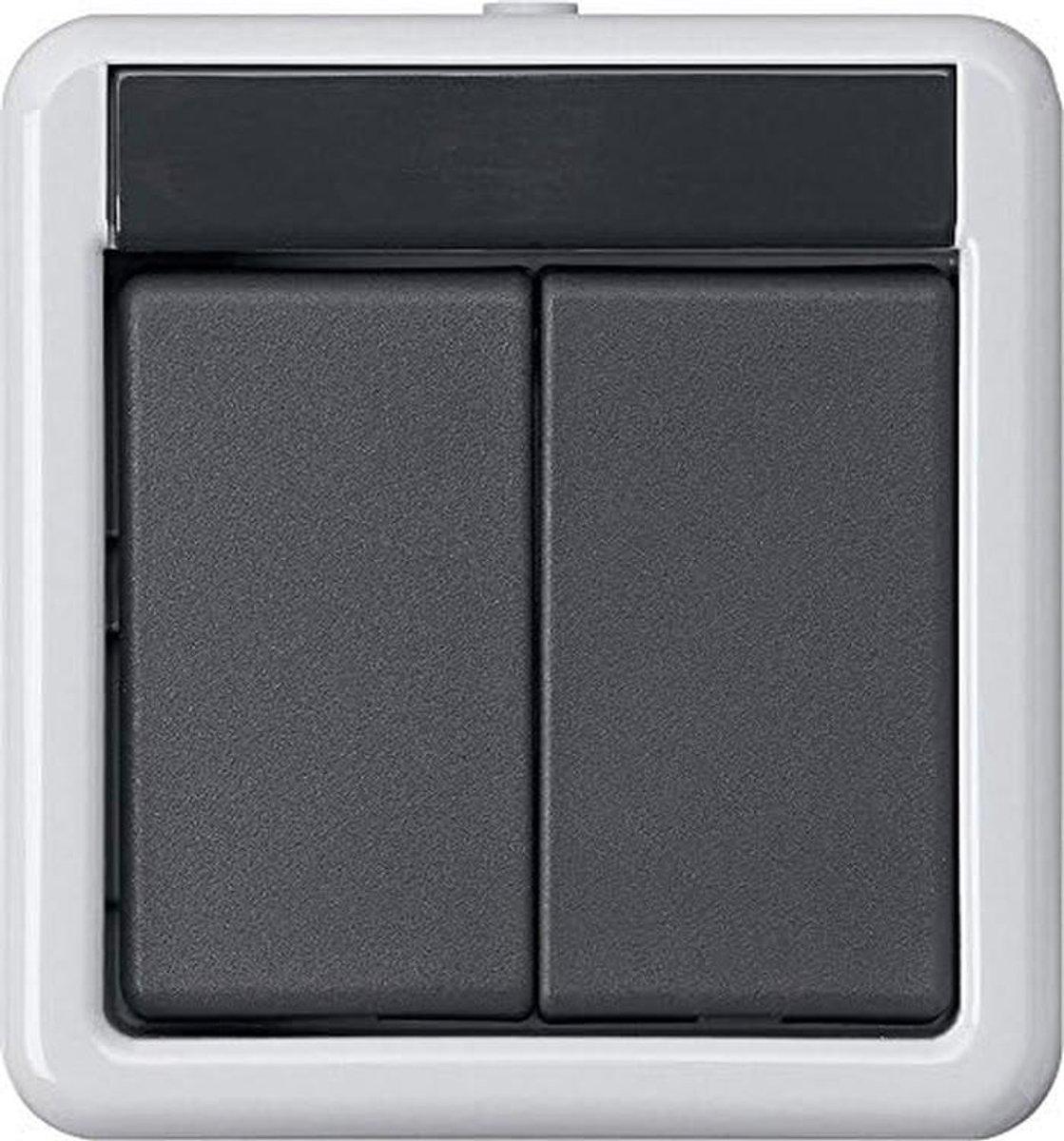 Tweevoudige Wip Drukknop voor KNX Domotica Systeem - Grijs