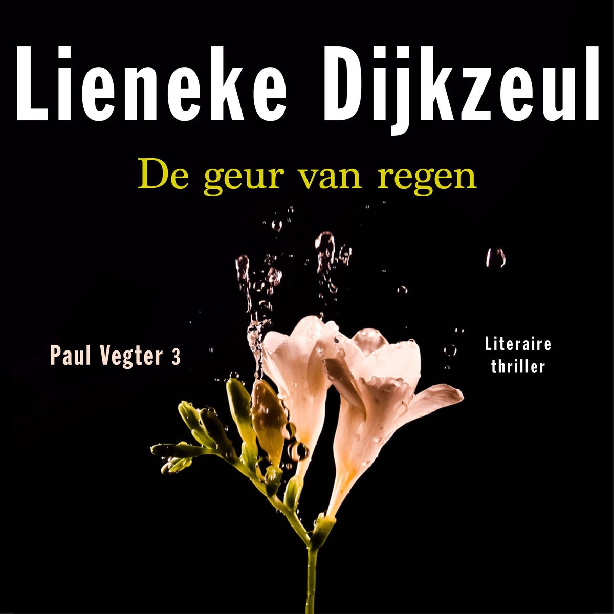 Omslag van De geur van regen