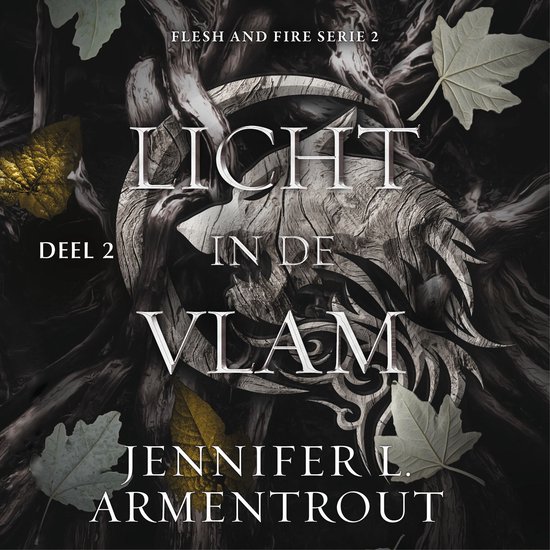 Licht in de vlam 2 - cover