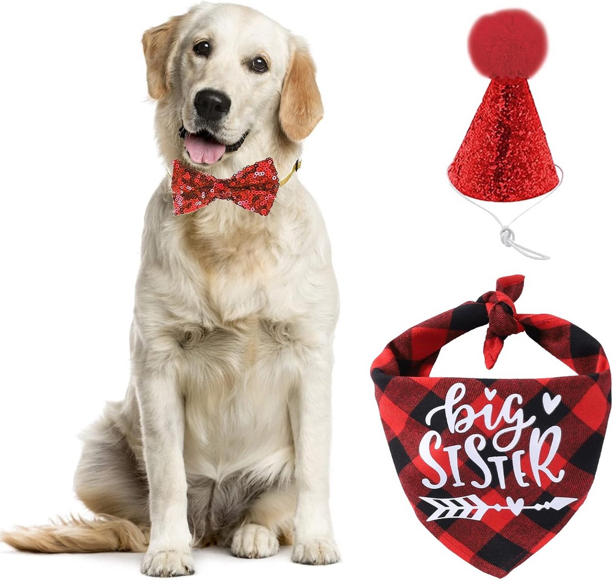 Honden outfit set met bandana, hoed en vlinderdas voor feestdagen
