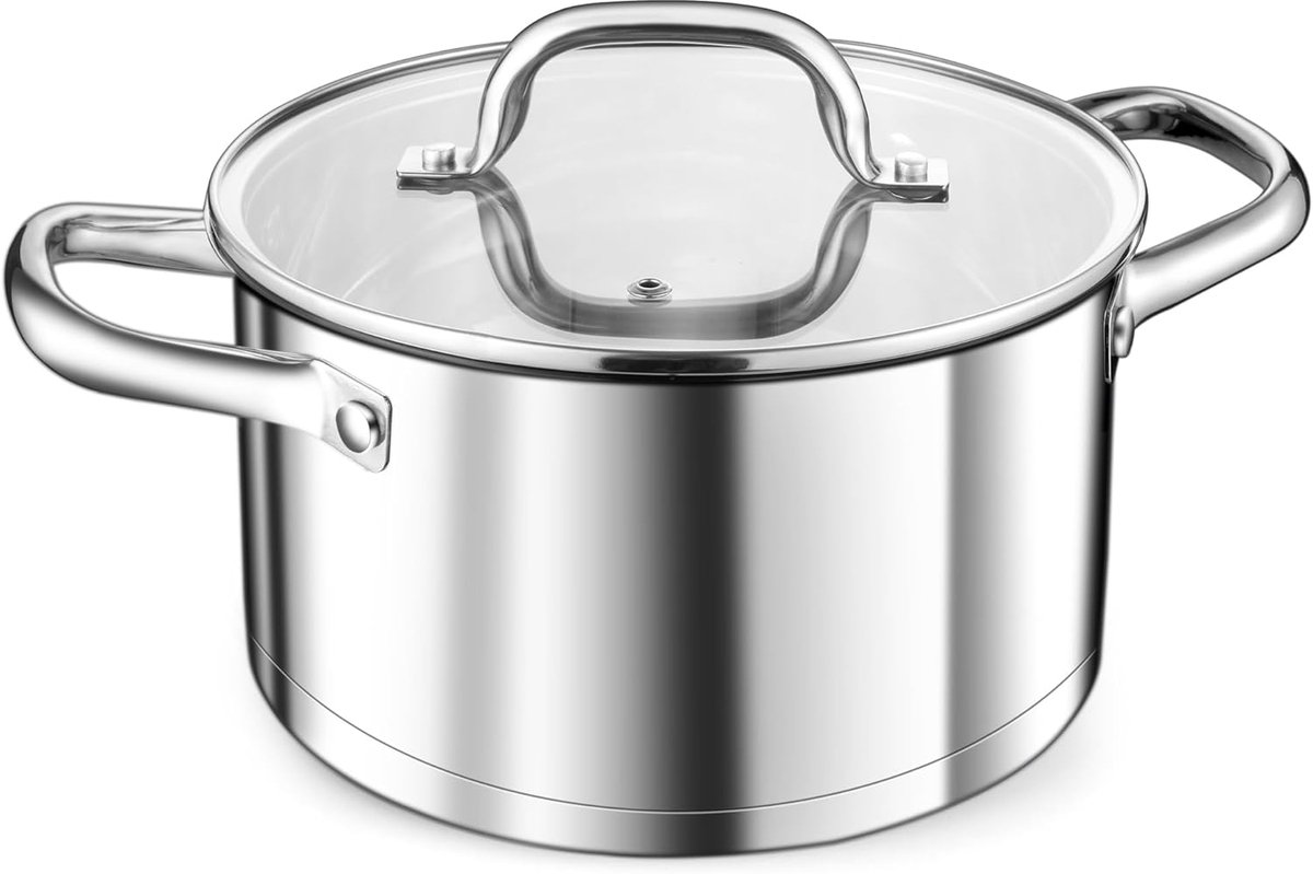 Inductiekookpot 20 cm RVS - 3,8L Soeppot met Glazen Deksel - Vaatwasmachinebestendig