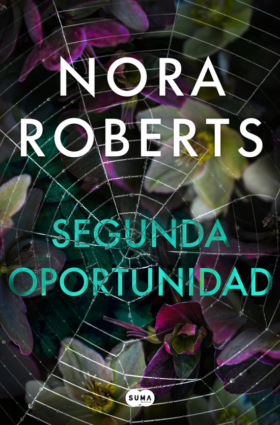 Segunda oportunidad - cover