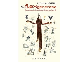 De flexgeneratie
