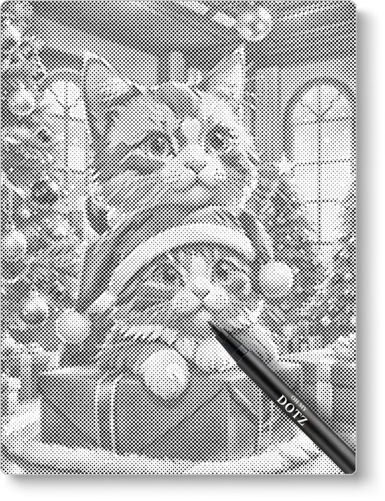 2 chatons de Noël | Peinture en pointillé | 40x50 cm | Peinture par points | Oh mon Dieu | Points points | Peinture au Diamond et Peinture par numéro alternative | Saint-Nicolas | Noël