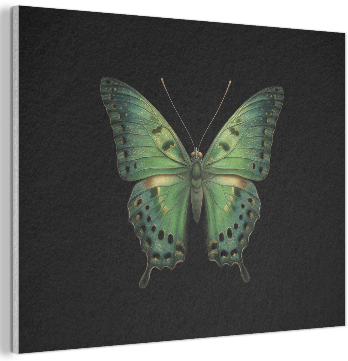 Akoestisch wandpaneel 40x30 cm - Vilt schilderij Vlinder - Groen - Diepte - Akoestische panelen - Geluidsdempende wanddecoratie - Geluidsisolatie woonkamer - Muurdecoratie geluidspanelen