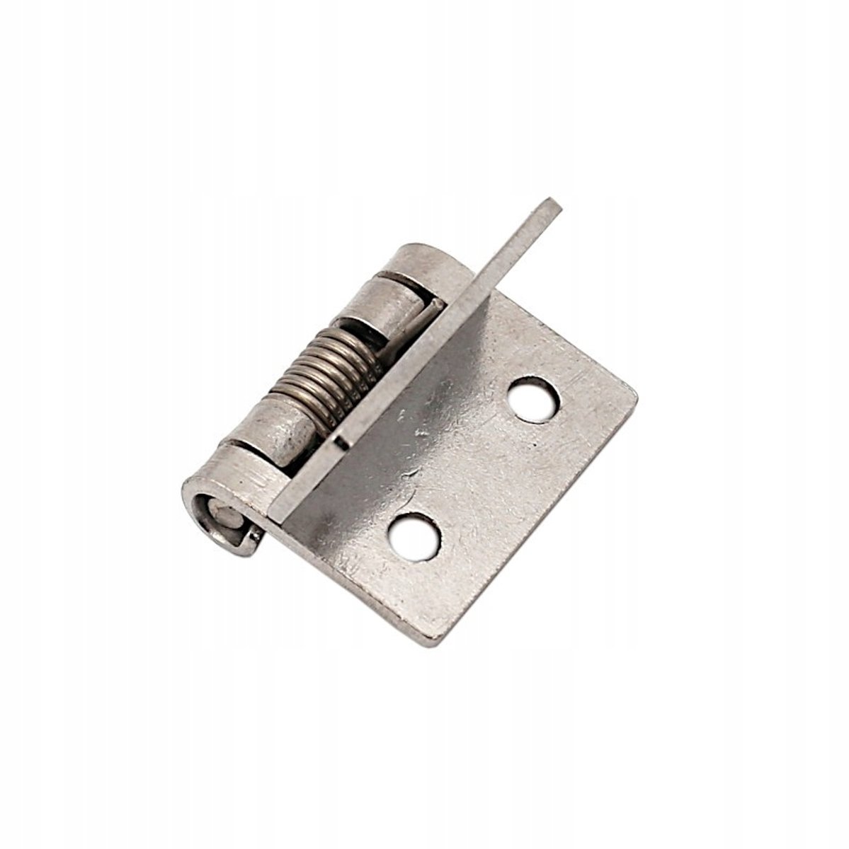 Roestvrijstalen Veiligheidsscharnier met Veer - 25x1,5mm
