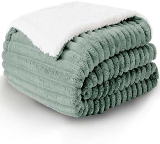 RUIKASI Fleece plaid, 220 x 240 cm, deken voor bed van 135/150 cm, grote deken voor op de bank, flanel, extra zacht en warm, lichtgroen, 100% microvezel, flanellen deken