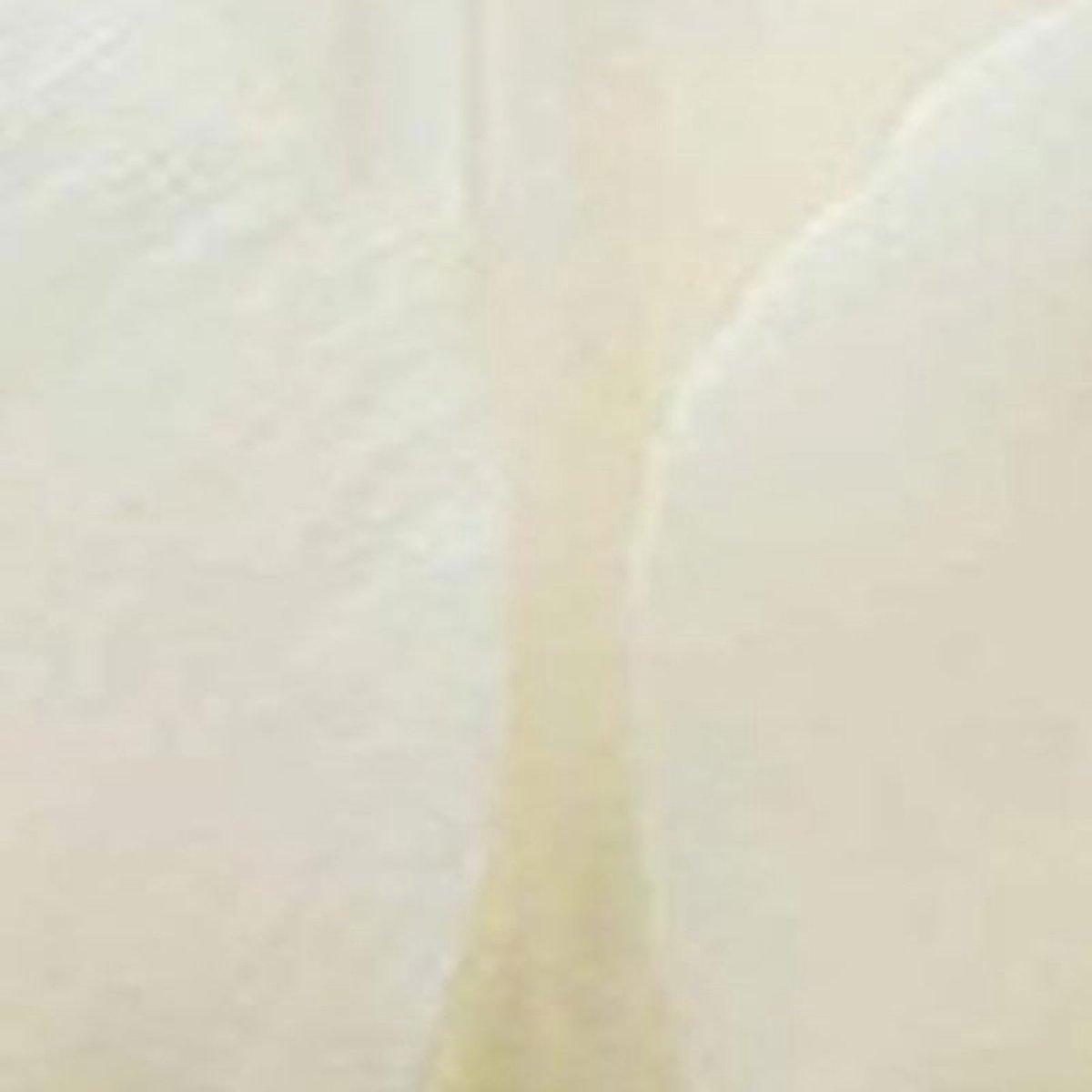 Jub - Tulipa Royal Virgin