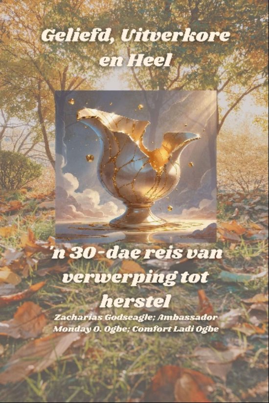 Geliefd, Uitverkore en Heel - 'n 30-dae reis van verwerping  ... - cover