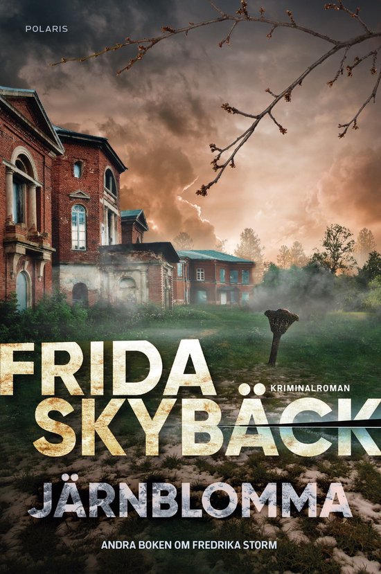 Fredrika Storm 2 - Järnblomma - cover
