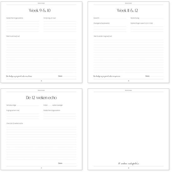 Binnenkant van een zwangerschapsdagboek met secties voor week 9 & 10, week 11 & 12 en de 12 weken echo.