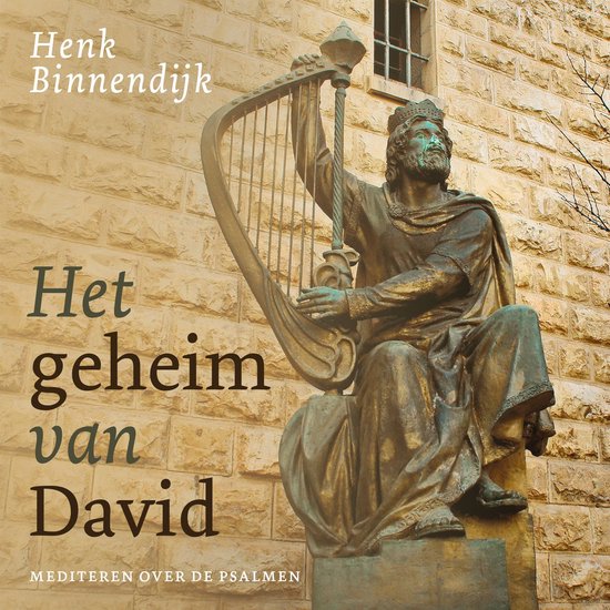 Het geheim van David - cover