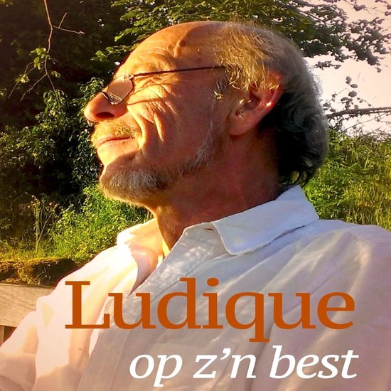 Ludique op z'n best - cover