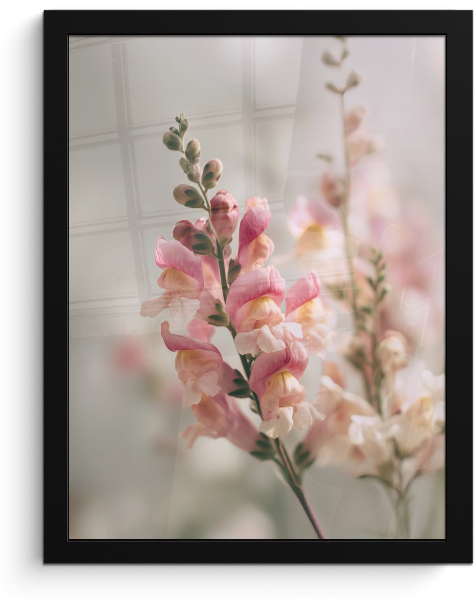 FrameYourWall Poster in lijst - Fotolijst 30x40 cm - Posters - Bloem - Leeuwenbek - Roze - Stengel - Posterlijst zwart - Decoratie - Wanddecoratie woonkamer - Muurdecoratie slaapkamer