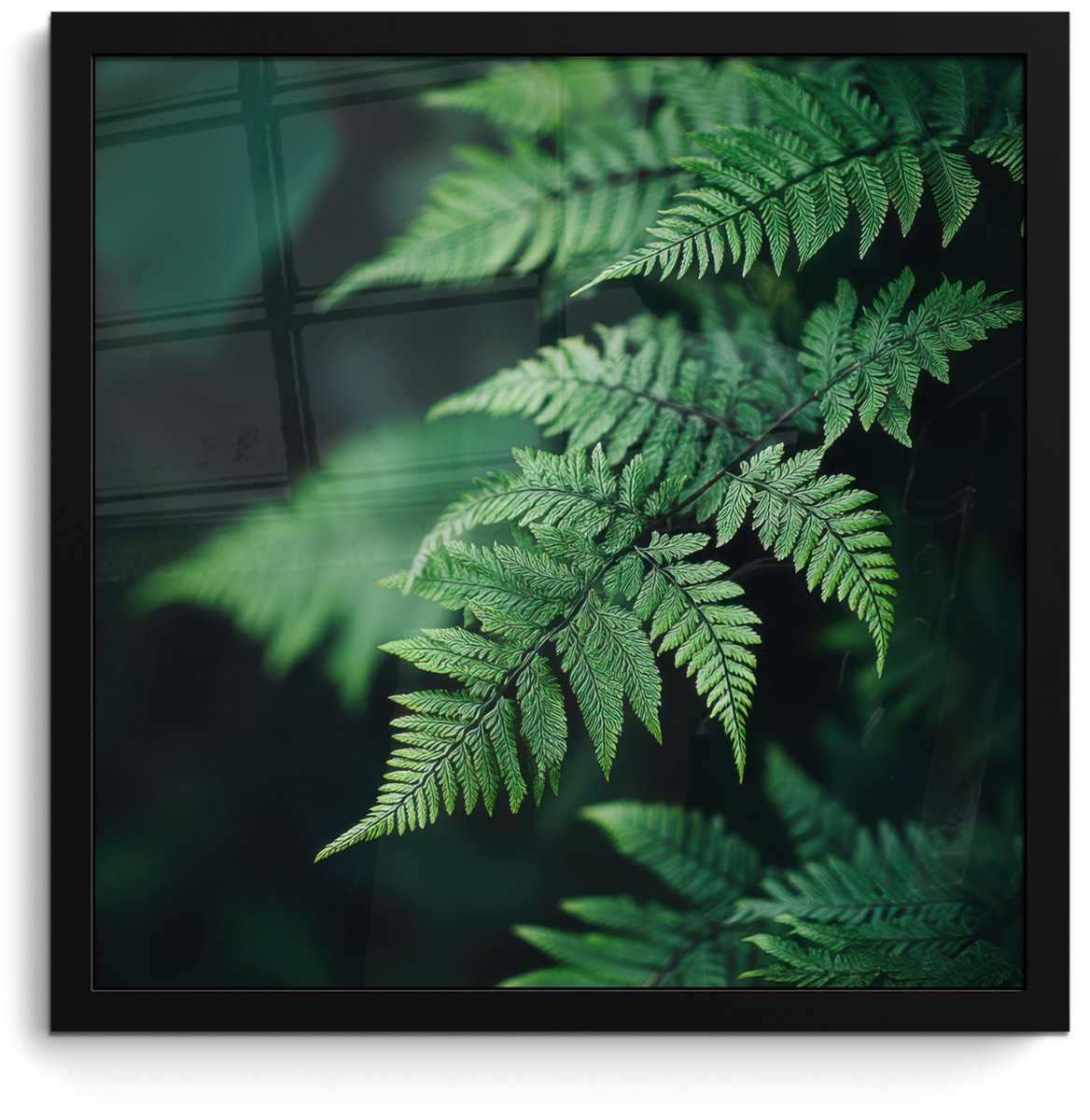 FrameYourWall Poster in lijst - Fotolijst 40x40 cm - Posters - Varenblad - Groen - Structuur - Wazig - Posterlijst zwart - Decoratie - Wanddecoratie woonkamer - Muurdecoratie slaapkamer