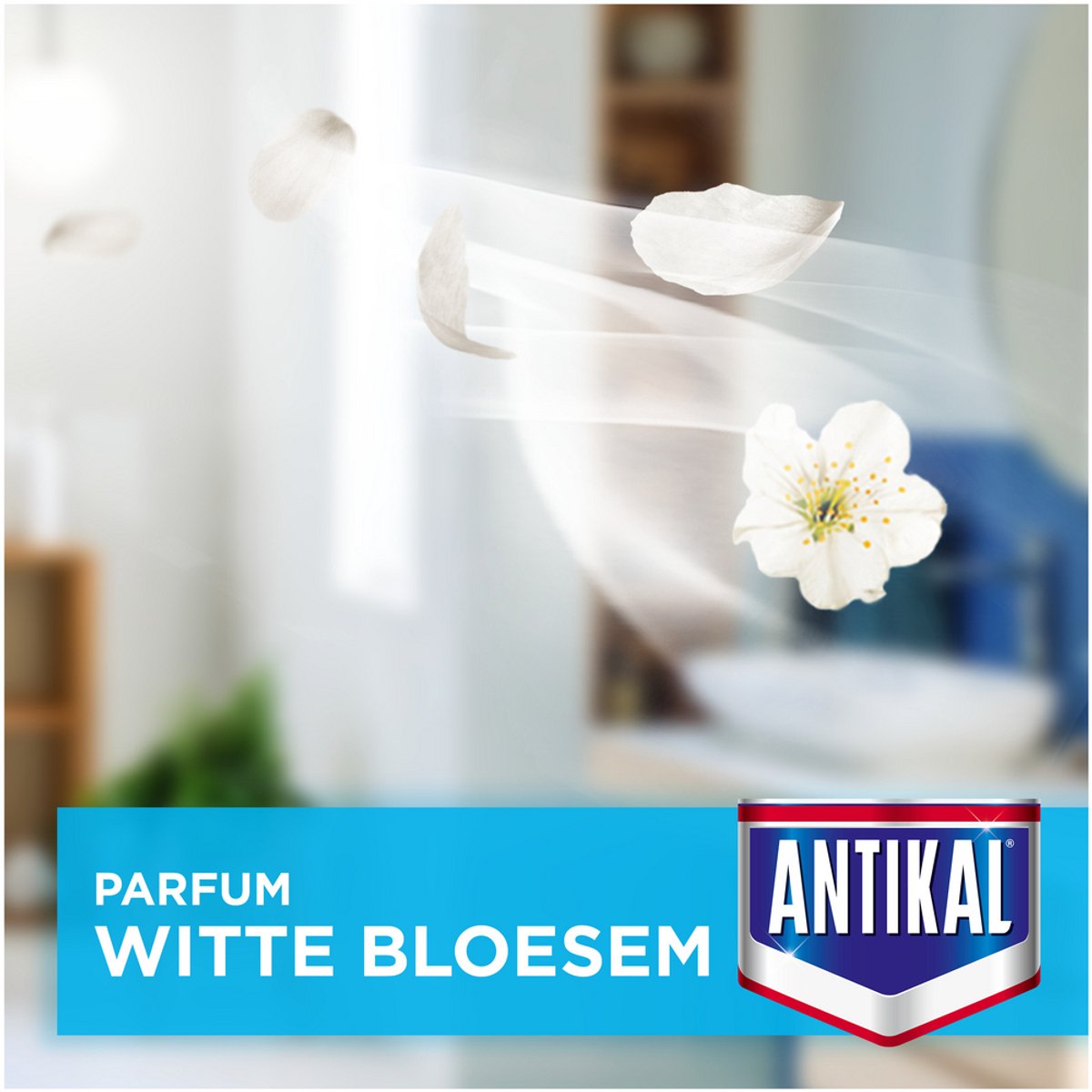 Antikal Expressspray Für Duschkabinen – 10x800 Ml, Sprühen, Wischen, Fertig – Ohne Abspülen!