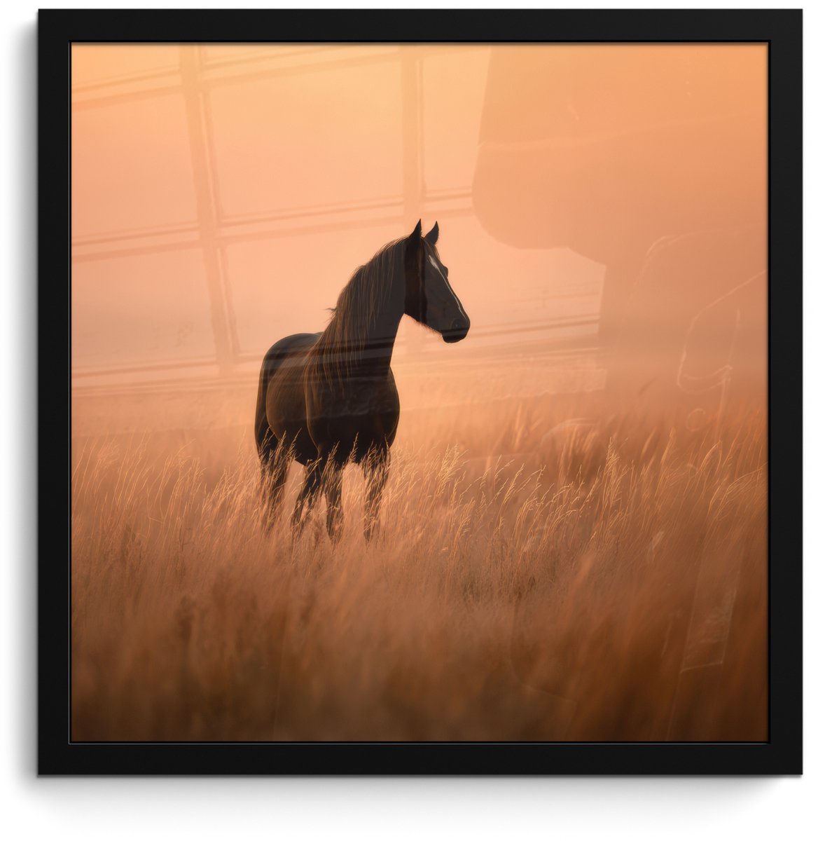 FrameYourWall Poster in lijst - Fotolijst 40x40 cm - Posters - Paard - Grasveld - Zonsondergang - Posterlijst zwart - Decoratie - Wanddecoratie woonkamer - Muurdecoratie slaapkamer