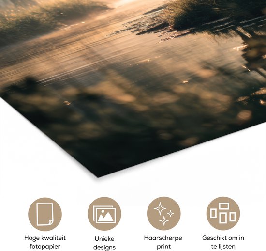 Affiche 20x30 cm - Cerf - Ruisseau forestier - Mystique - Posters Décoration murale - Salon - Chambre