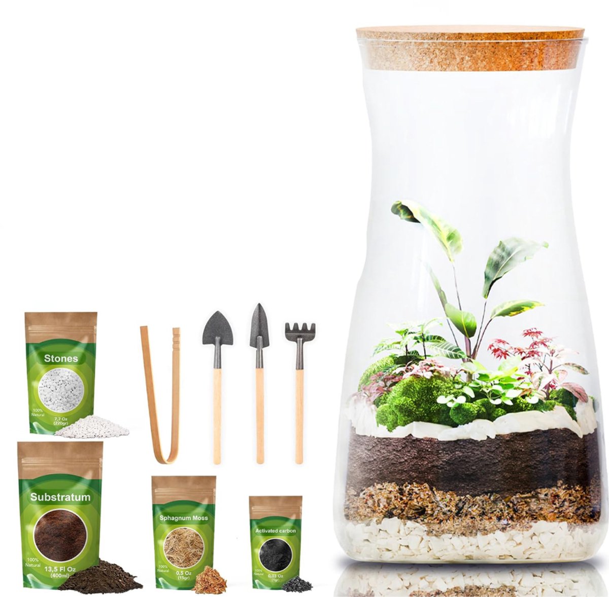 mavoa® Ecosysteem plant - planten terrarium - terrarium plant