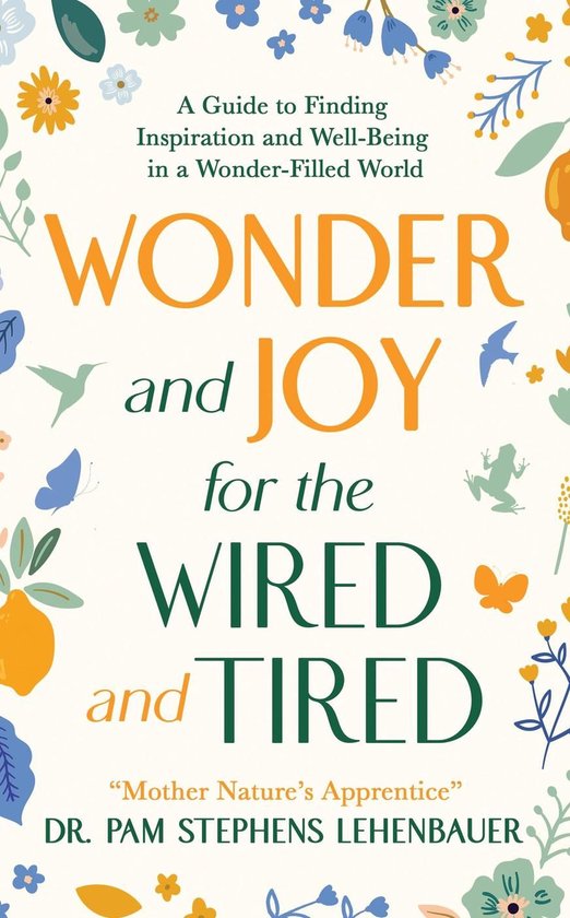 Wonder and Joy for the Wired and Tired - cover