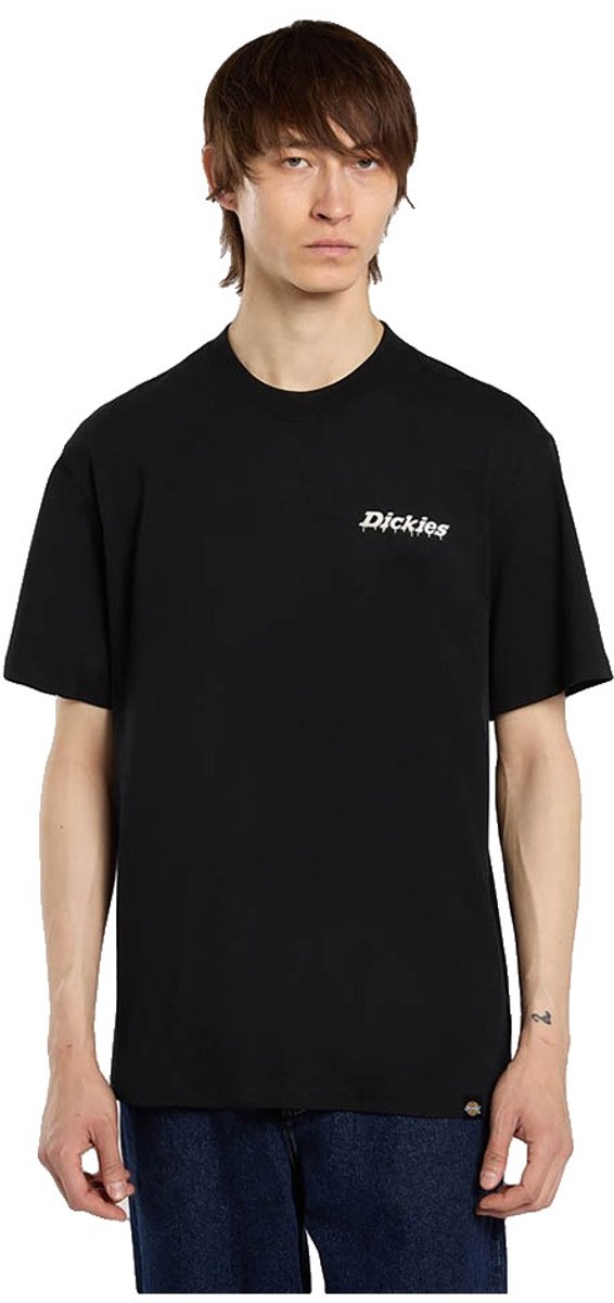 Dickies Statesville T-shirt Met Korte Mouwen S Man Zwart