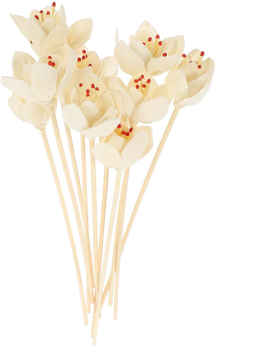 10pcs Rattan Sticks - Vervanging voor Flower Reed Diffuser - Geursticks voor Aroma Frisheid