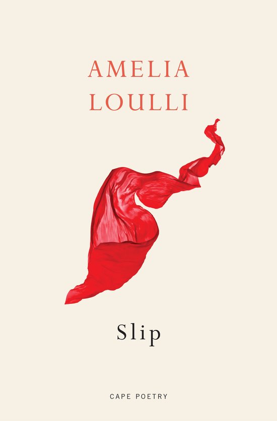 Slip - cover