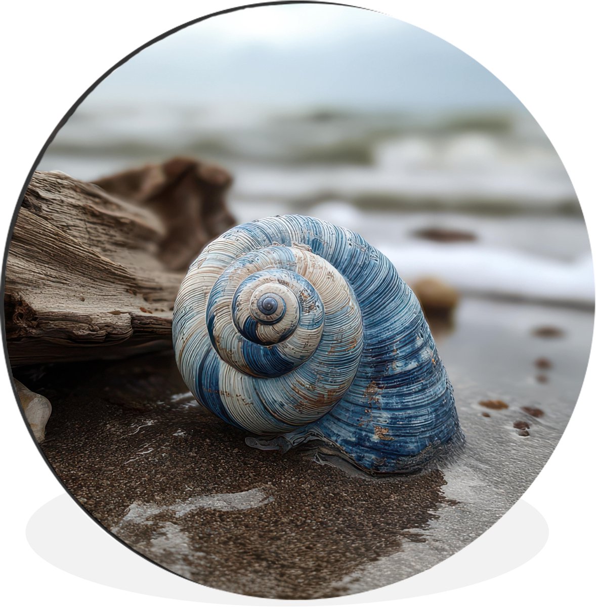 WallCircle Wandcirkel - Muurcirkel - Schelp - Strand - Blauw - Zee - Aluminium - Dibond - 140x140 cm - Binnen en Buiten