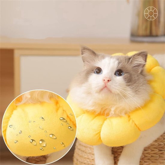 Kattenkraag - Katten Kraag - Kraag Kat - Bescherm Kraag Kat