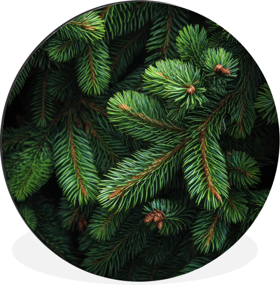 WallCircle Wandcirkel - Muurcirkel - Sparrentakken - Knoppen - Naalden - Groen - Aluminium - Dibond - 90x90 cm - Binnen en Buiten