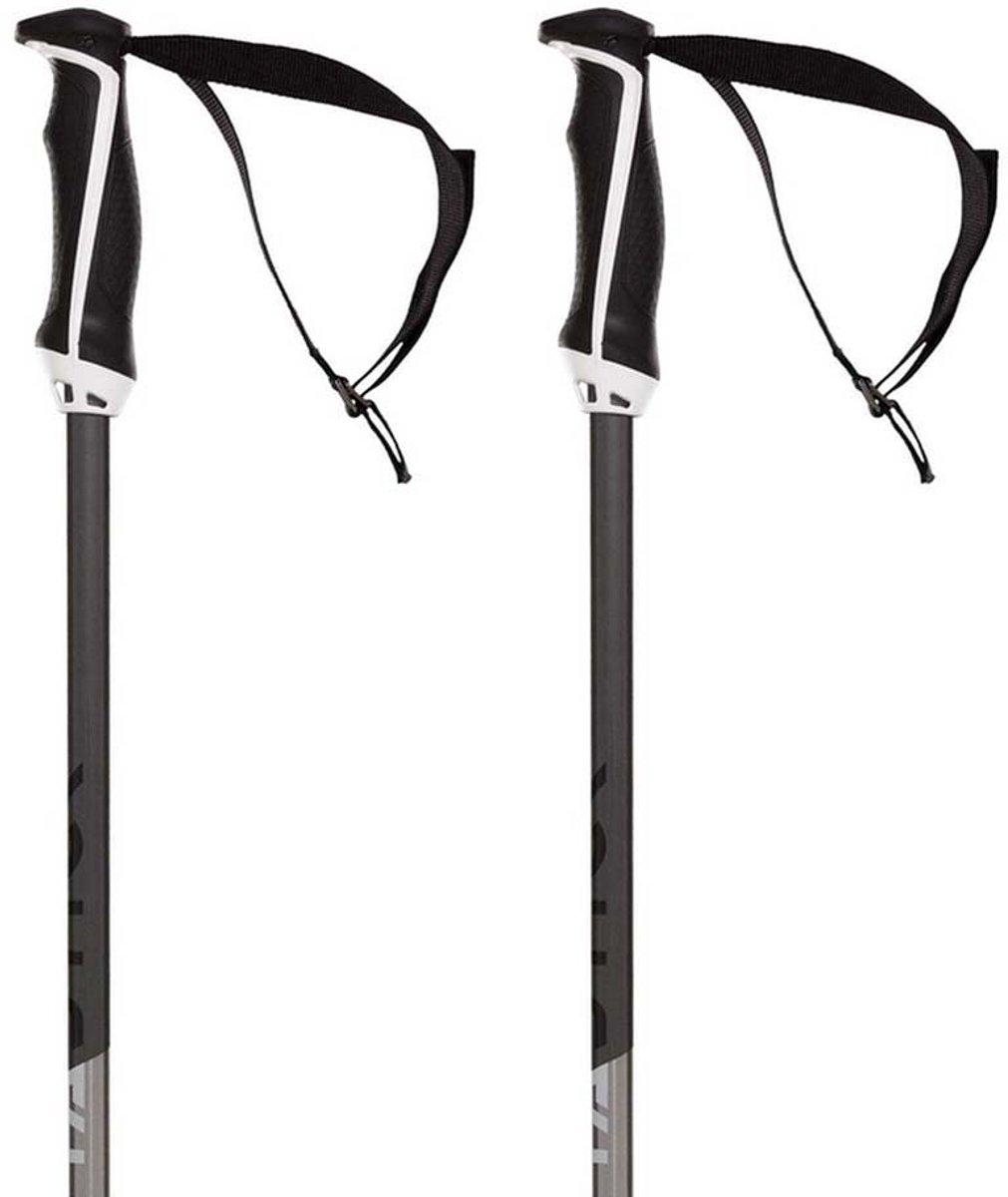 Volkl Phantastick 18mm Stokken Zilver 130 cm